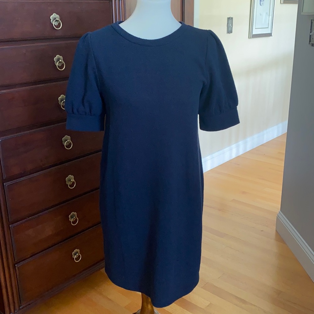 Loft navy blue shift dress